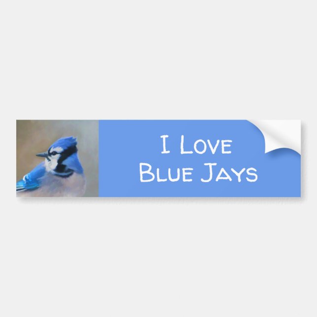 Blue Jay Painting - Original Bird Art Bumper Sticker (Front)