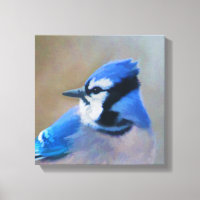Blue Jay Painting - Original Bird Art