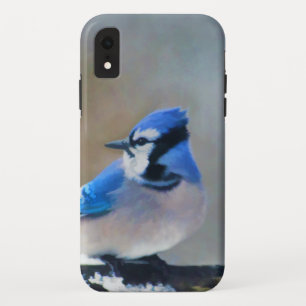 Blue Jay Painting - Original Bird Art iPhone XR Case
