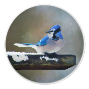 Blue Jay Painting - Original Bird Art Ceramic Knob