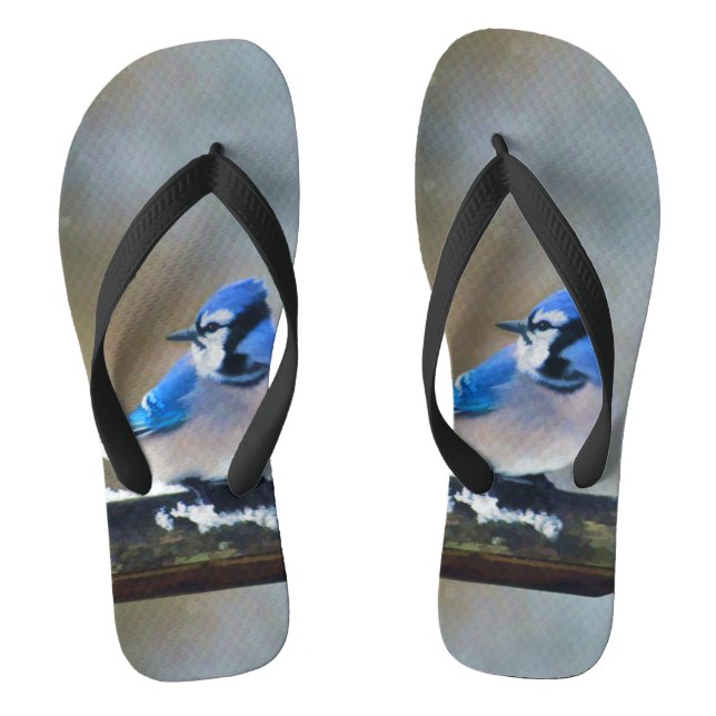 Blue Jay Painting - Original Bird Art Flip Flops (Footbed)