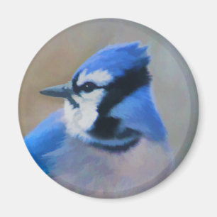 Blue Jay Painting - Original Bird Art Magnet
