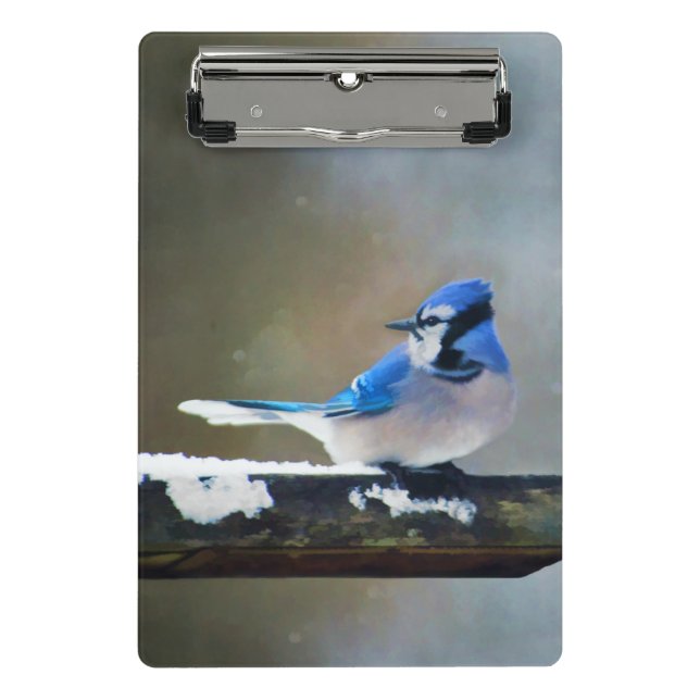 Blue Jay Painting - Original Bird Art Mini Clipboard (Front)