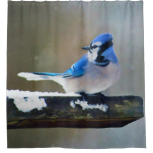 Blue Jay Painting - Original Bird Art Shower Curtain