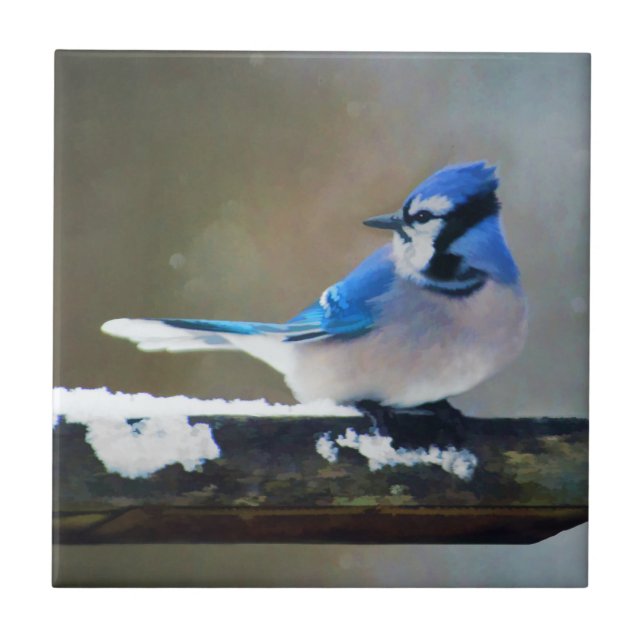Blue Jay Painting - Original Bird Art Tile (Front)