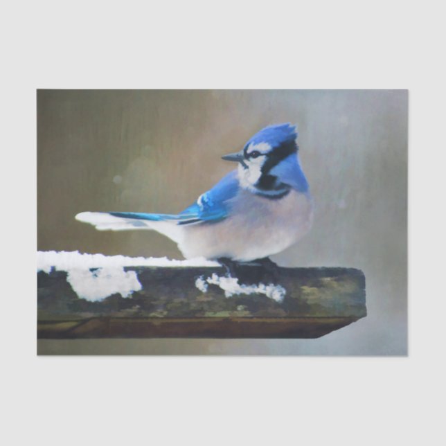 Blue Jay Painting - Original Bird Art Tissue Paper (Front)