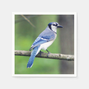 Blue Jay Paper Napkin
