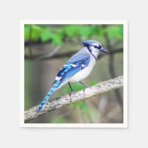 Blue Jay Paper Napkin