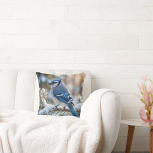 Blue Jay Perched On a Snowy Pine Cushion
