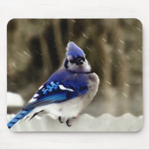 Blue Jay Photo Mouse Mat