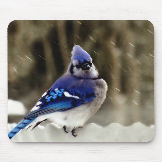 Blue Jay Photo Mouse Mat (Front)