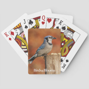 Blue Jay Playing Cards