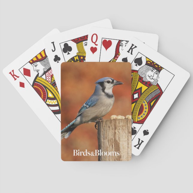 Blue Jay Playing Cards (Back)