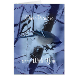 Blue Jay Prayers 7132- customise any occasion