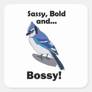 Blue Jay Sassy Bold Bossy Bird Birthday Party Square Sticker