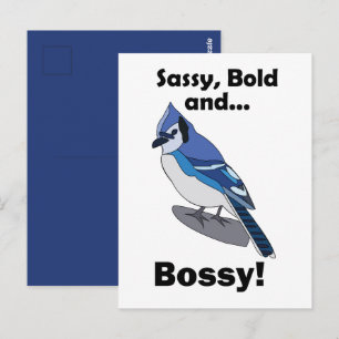 Blue Jay Sassy Bold Bossy Bird Birthday Postcard