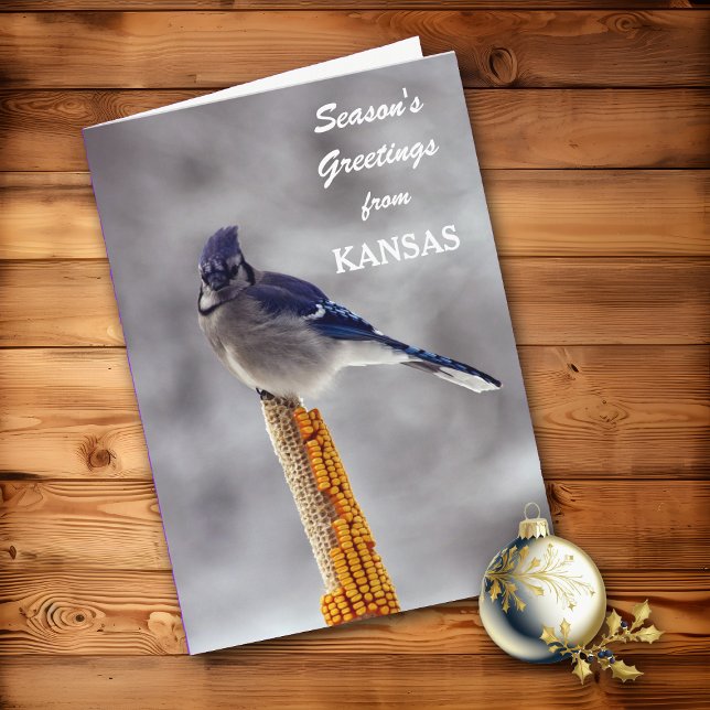 Blue Jay Season's Greetings from Kansas Holiday Card (Creator Uploaded)