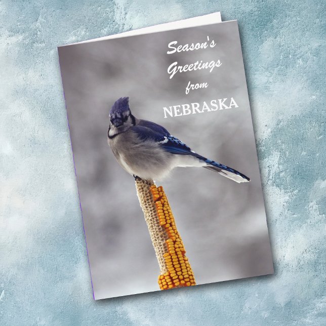 Blue Jay Season's Greetings from Nebraska Holiday Card (Creator Uploaded)