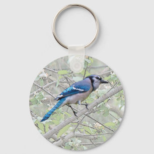 Blue Jay Songbird Key Ring