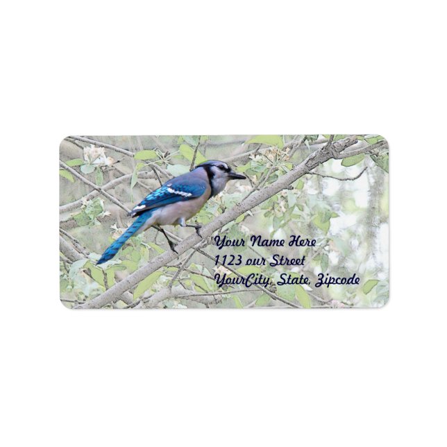 Blue Jay Songbird Label (Front)