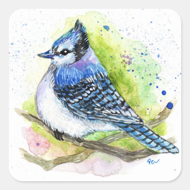 Blue Jay Square Sticker (Front)