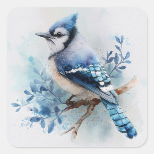 Blue Jay Square Sticker