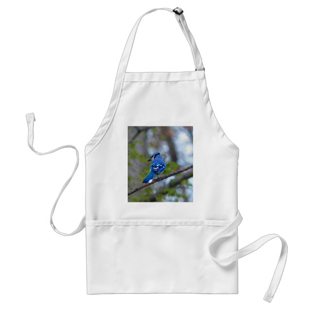 Blue Jay Standard Apron (Front)