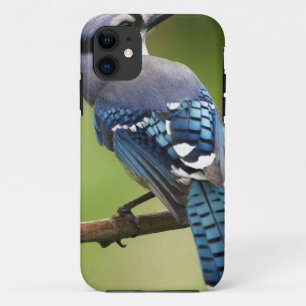 Blue Jay thinking of you friend family mum dad iPhone 11 Case