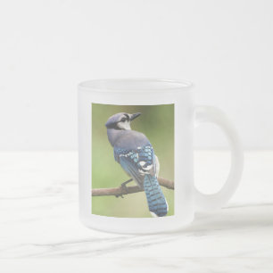 Blue Jay thinking of you friend family mum dad Frosted Glass Coffee Mug