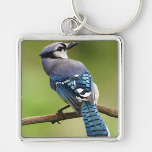 Blue Jay thinking of you friend family mum dad Key Ring