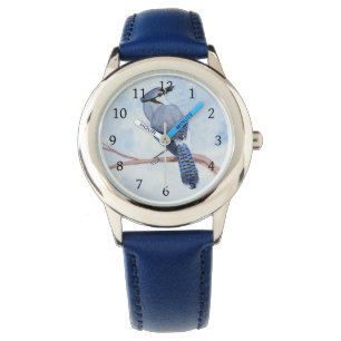Blue Jay Watch