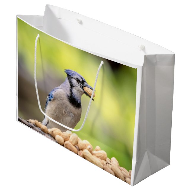 Blue jay with a peanut large gift bag (Front Angled)