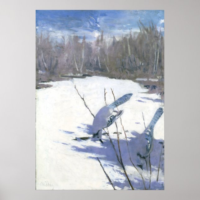 Blue Jays in Winter – Thayer Poster (Front)