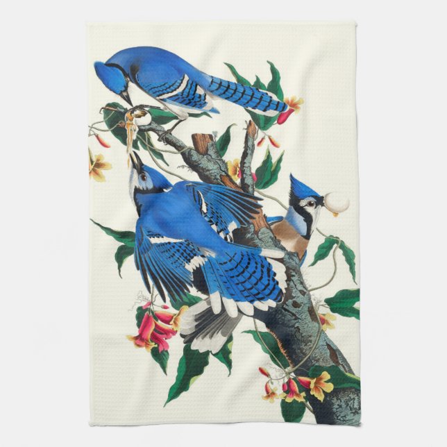 Blue Jays  Tea Towel (Vertical)