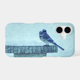 Blue Jays Winter Feeding Painterly