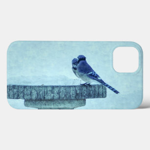 Blue Jays Winter Feeding Painterly iPhone Case