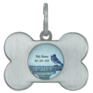 Blue Jays Winter Feeding Painterly Pet Tag