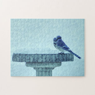Blue Jays Winter Feeding Painterly Puzzle