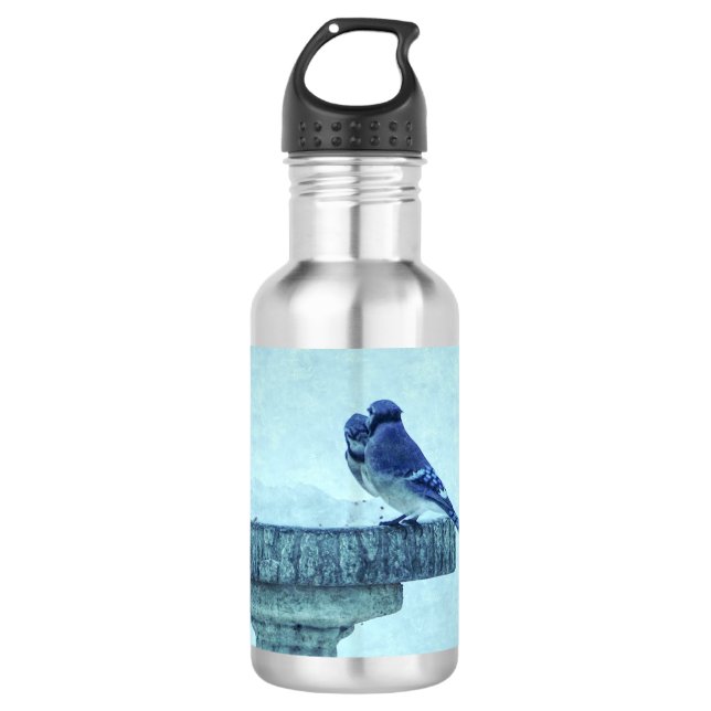 Blue Jays Winter Feeding Painterly Stainless Steel 532 Ml Water Bottle (Front)
