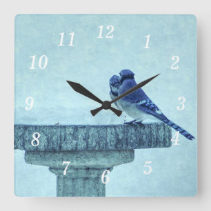 Blue Jays Winter Feeding Painterly Wall Clock
