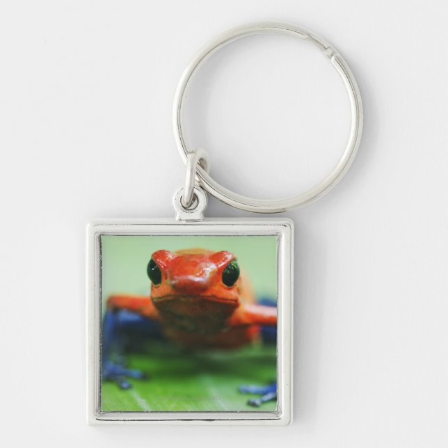Blue Jean Frog Key Ring (Front)