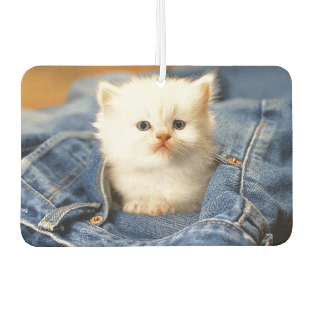 Blue Jean Pocket Kitten Air Freshener (Front)