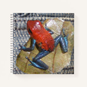 Blue Jeans Frog Square Notebook