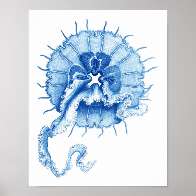 Blue Jellyfish Art Print no.4 Nautical Wall Decor (Front)