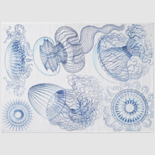 Blue Jellyfish Decoupage Tissue Paper