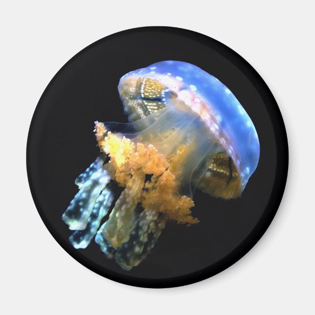 Blue Jellyfish Magnet (Front)