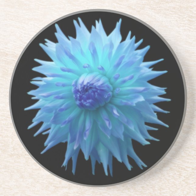 Blue Jennie On Black Sandstone Coaster (Front)