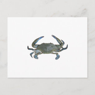 Blue "Jimmy" Crab Postcard