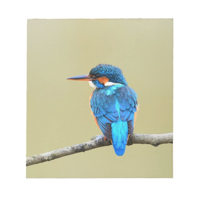 Blue Kingfisher Bird Notepad (Front)