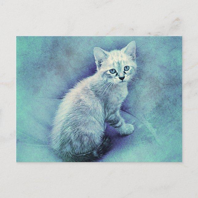 Blue Kitten | Abstract | Watercolor Postcard (Front)